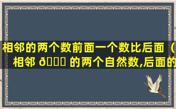 相邻的两个数前面一个数比后面（相邻 🐛 的两个自然数,后面的数 🦄 总比前面的数多）